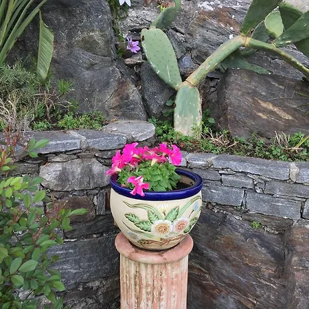 Casa San Martino Διαμέρισμα Ronco sopra Ascona