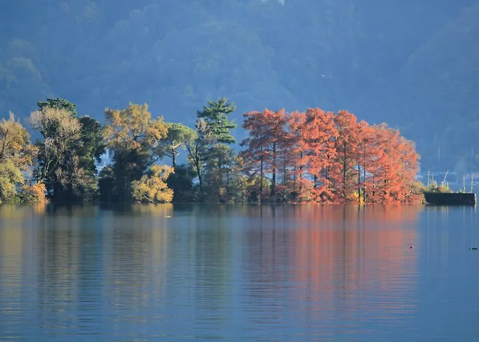 Casa San Martino 론코 소프라 아스코나
