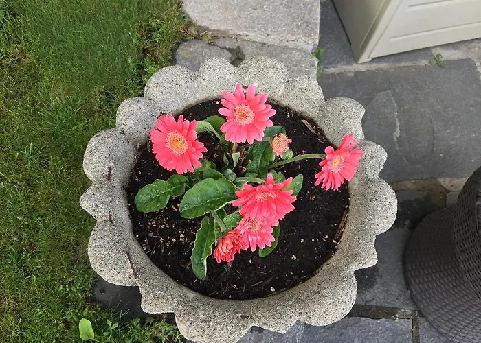 아파트 Casa San Martino