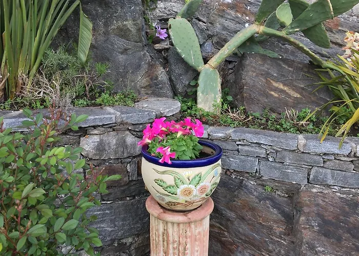 Casa San Martino 아파트 론코 소프라 아스코나