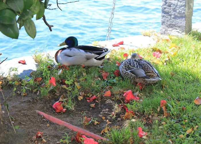 Casa San Martino 아파트