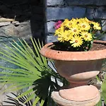 Casa San Martino * Ronco sopra Ascona