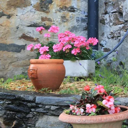 Casa San Martino Lägenhet Ronco sopra Ascona