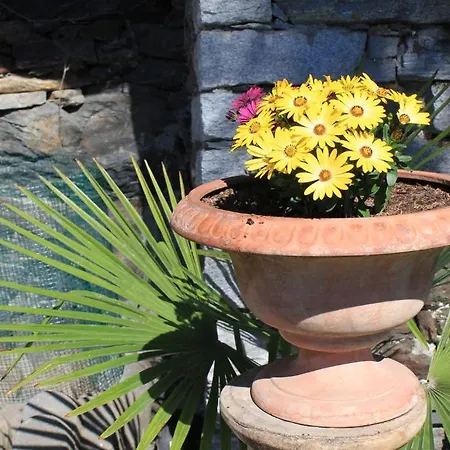 Casa San Martino * Ronco sopra Ascona