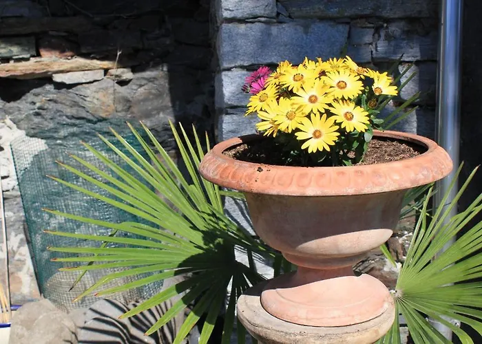 Casa San Martino * Ronco sopra Ascona